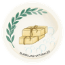 Logo Burbujas Naturales