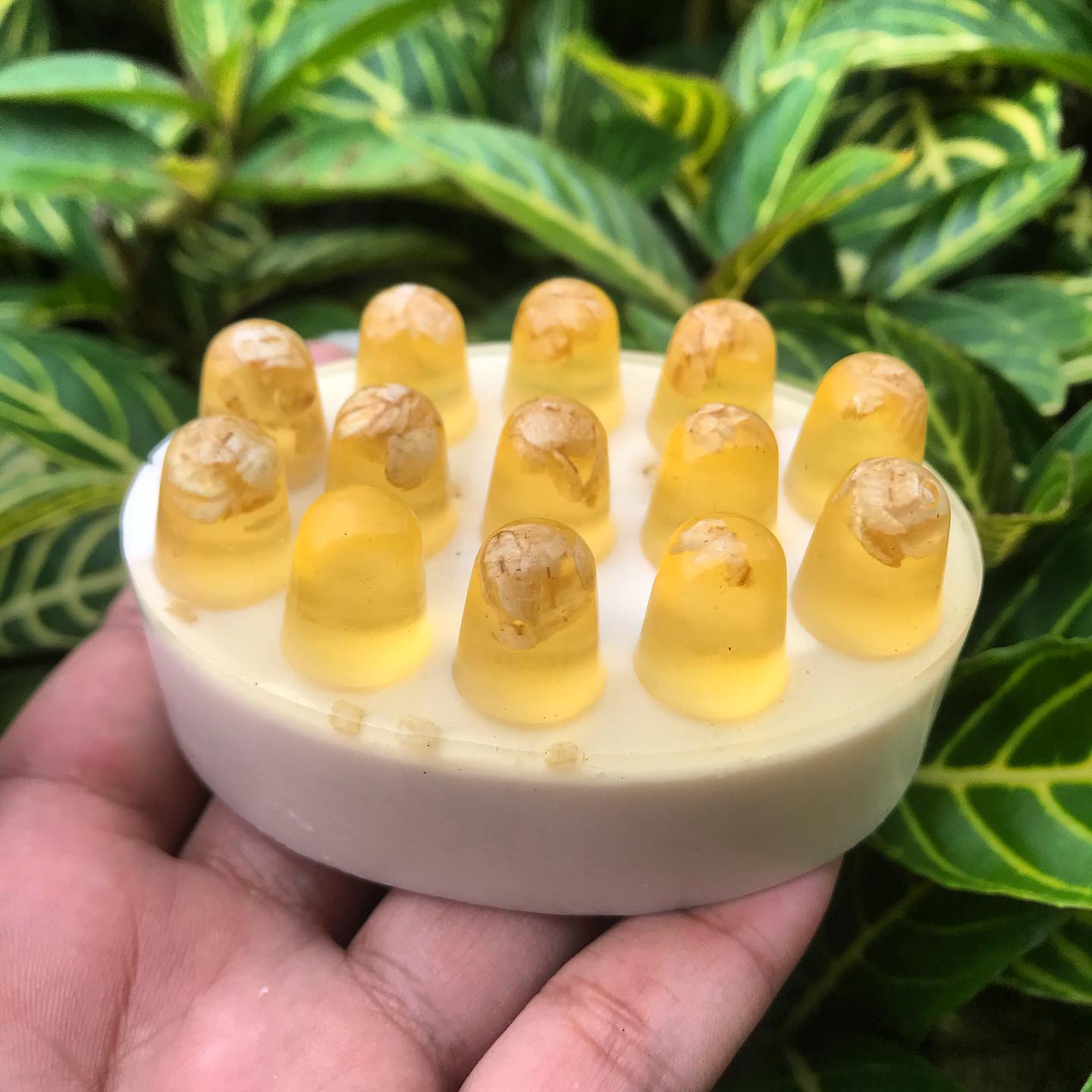 Jabón Exfoliante Avena & Miel